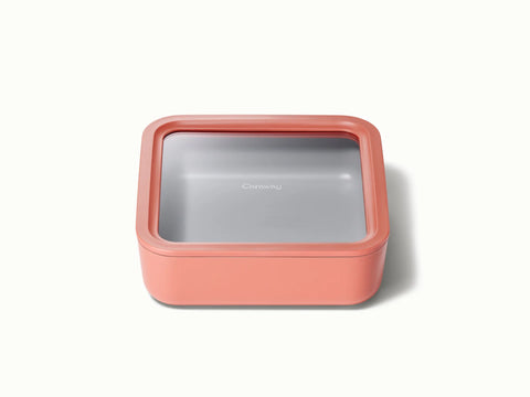 Large Storage Container