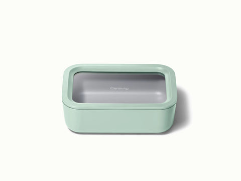Medium Storage Container