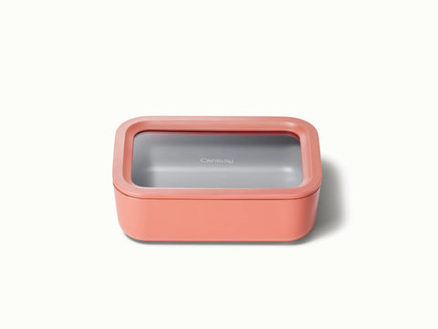 Medium Storage Container