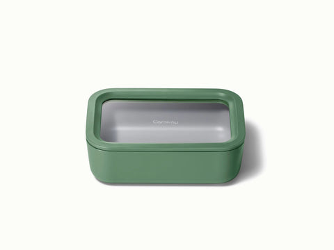 Medium Storage Container
